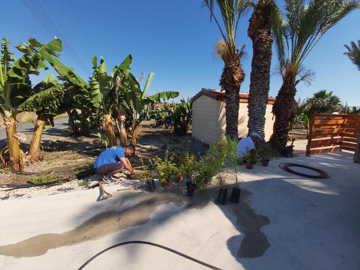 Argaka Palm Tree Apts Bagian luar foto